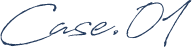 case.01